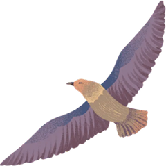 Floating Bird Vector