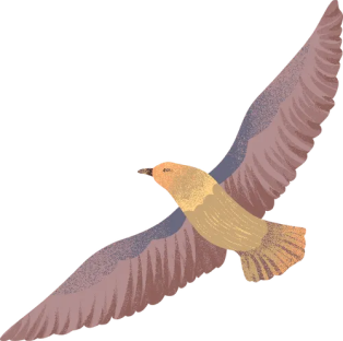 Enterprise Hero Bird Image